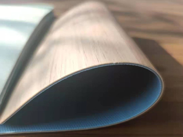 Heterogeneous-vinyl-floor001