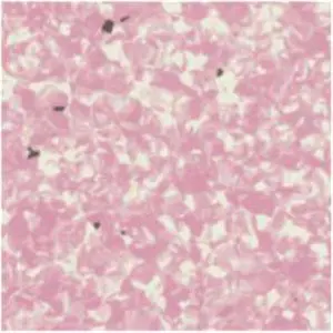 nondirectional  vinyl floor rol16