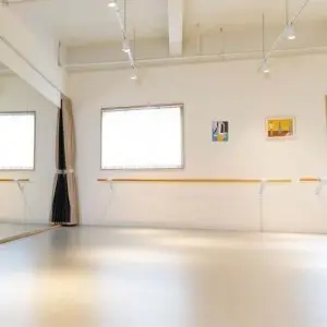 The fourth generation nanotechnology vinyl flooring material specialized for the dancing stage