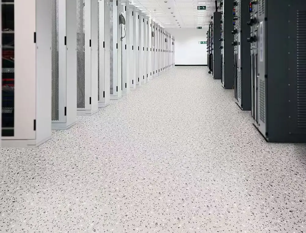 What are the characteristics_202410311341002